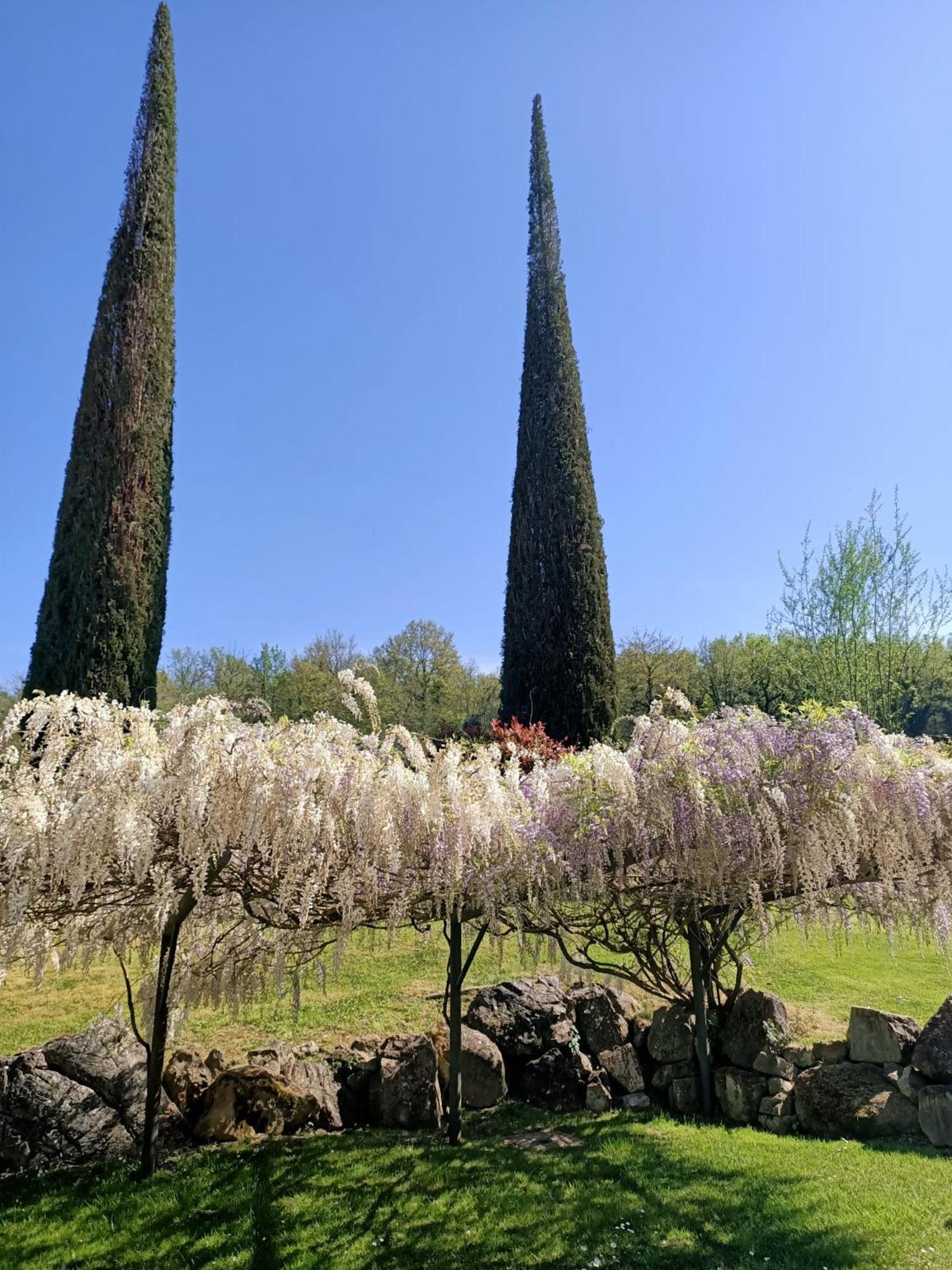 Relais Osteria Dell'Orcia Hotel Bagno Vignoni Exterior foto